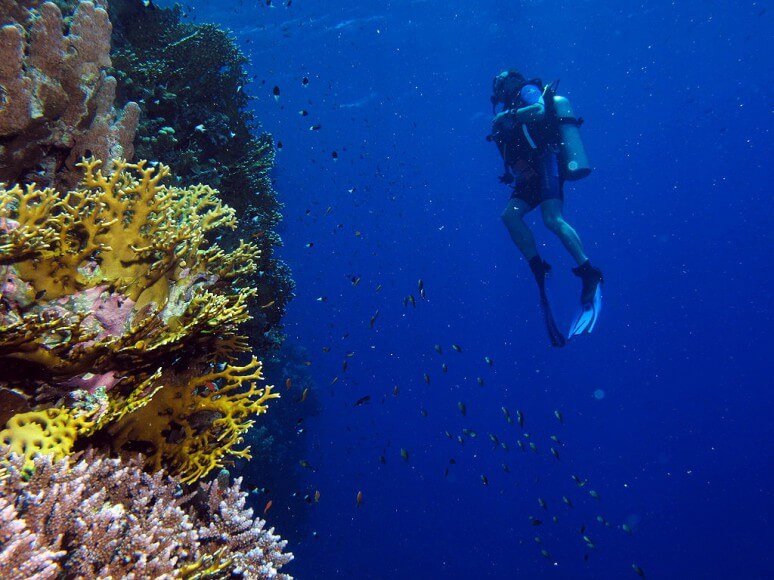 These Places are the Mecca of Wall Diving Scuba Diving Buzz